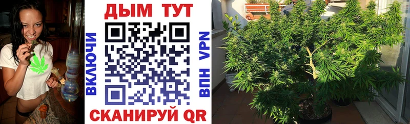 Где купить Тверь Амфетамин  Меф  КОКАИН  Alpha PVP 