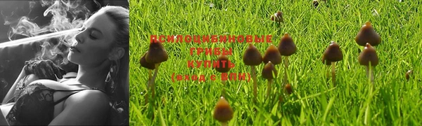 винт Богданович