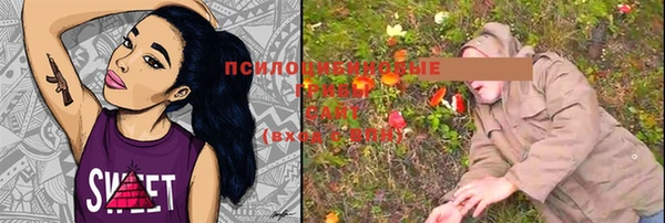 винт Богданович