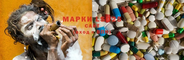 винт Богданович