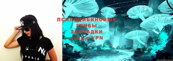 винт Богданович
