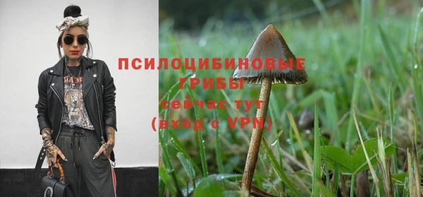 ALPHA PVP Богородск